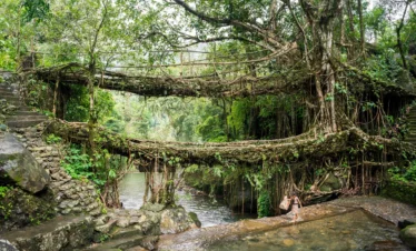 Book Now and See Double Decker Bridge Nongriat During NorthEast India Honeymoon Package