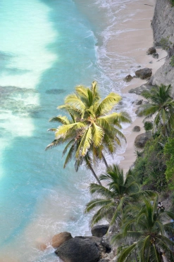 Book Bali As Your Next Honeymoon Destination with WanderOnClick