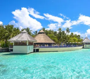 Book Maldives Honeymoon Package with WanderOnClick