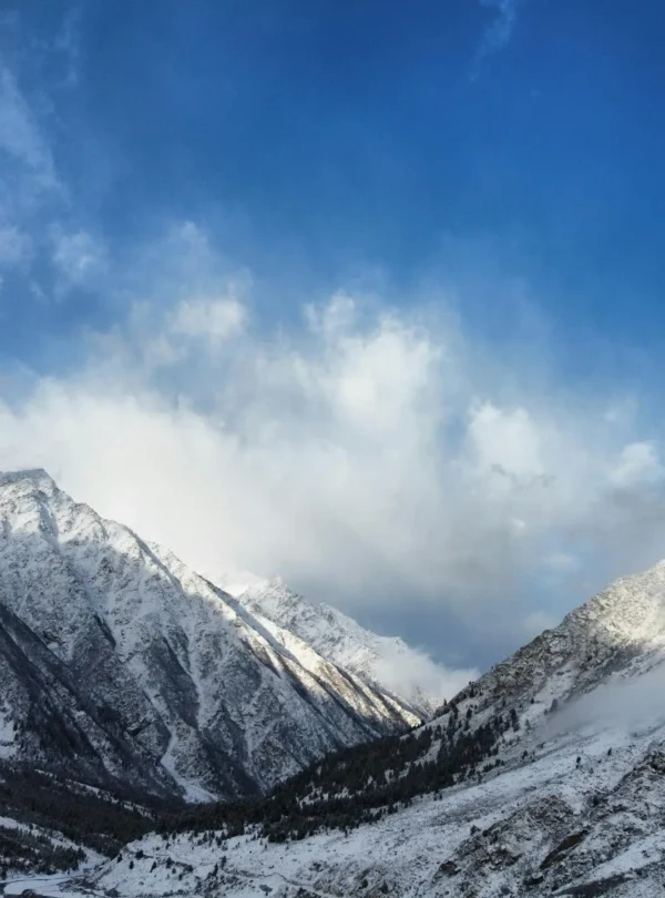 Stay in Chitkul - The Last Village of India