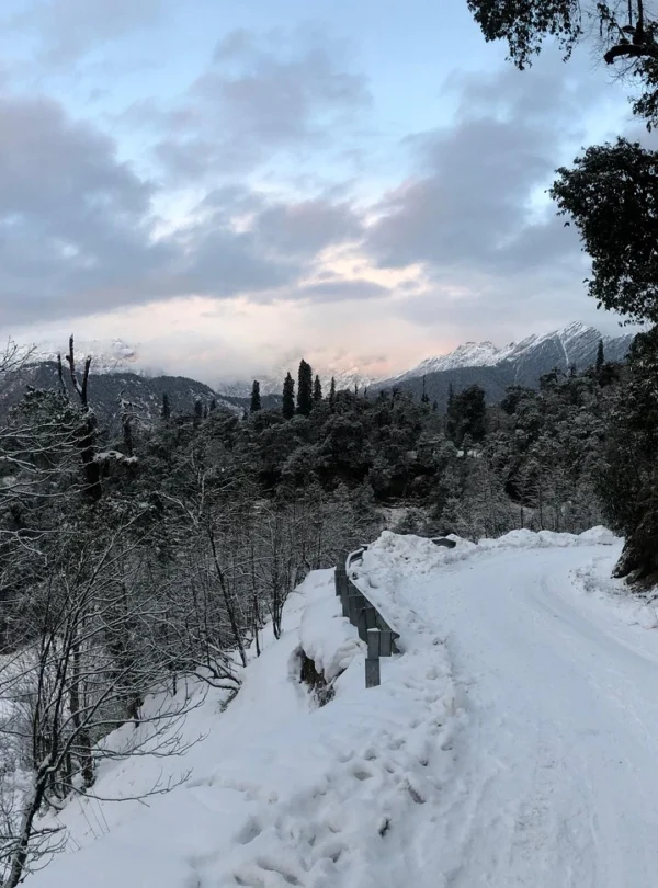 Chopta Tour Package with Tungnath Trek