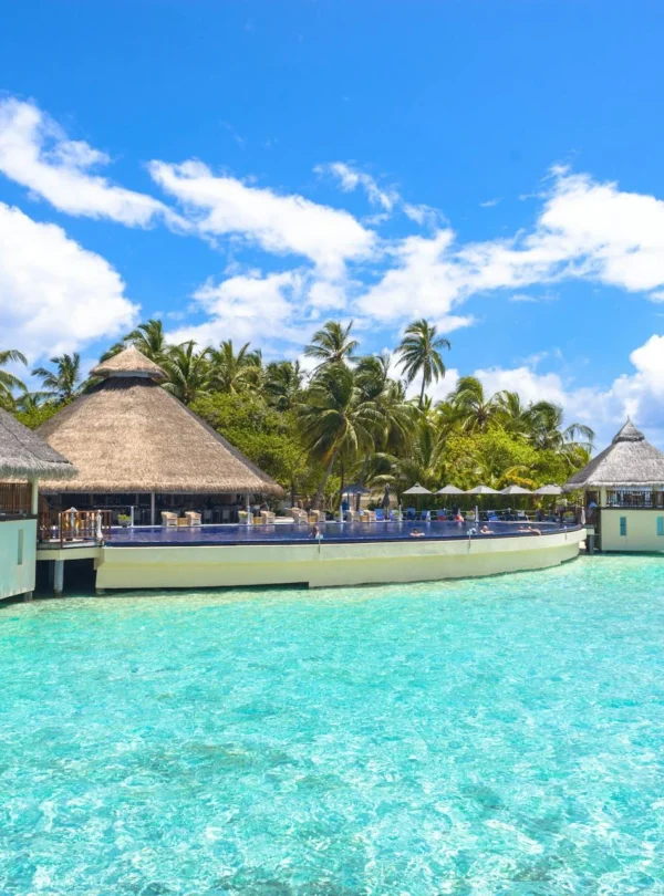 book your maldives honeymoon package now