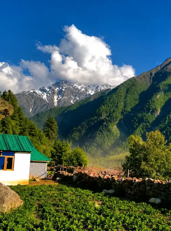 Book Your Stay in Rakchham
